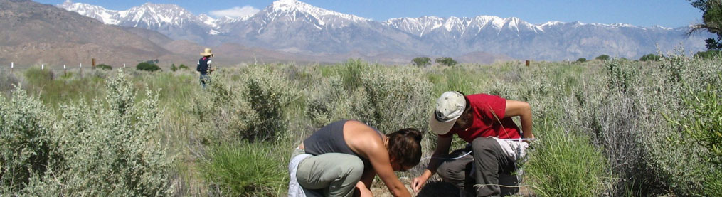 Owens Valley